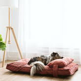 Dual comfort bed stylish spare cover, 2 sizes